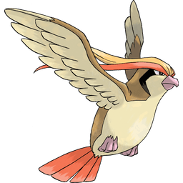 pidgeot