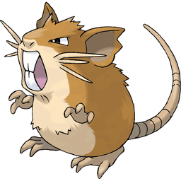 raticate