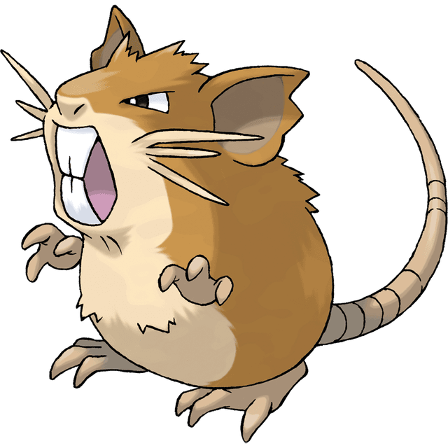 raticate